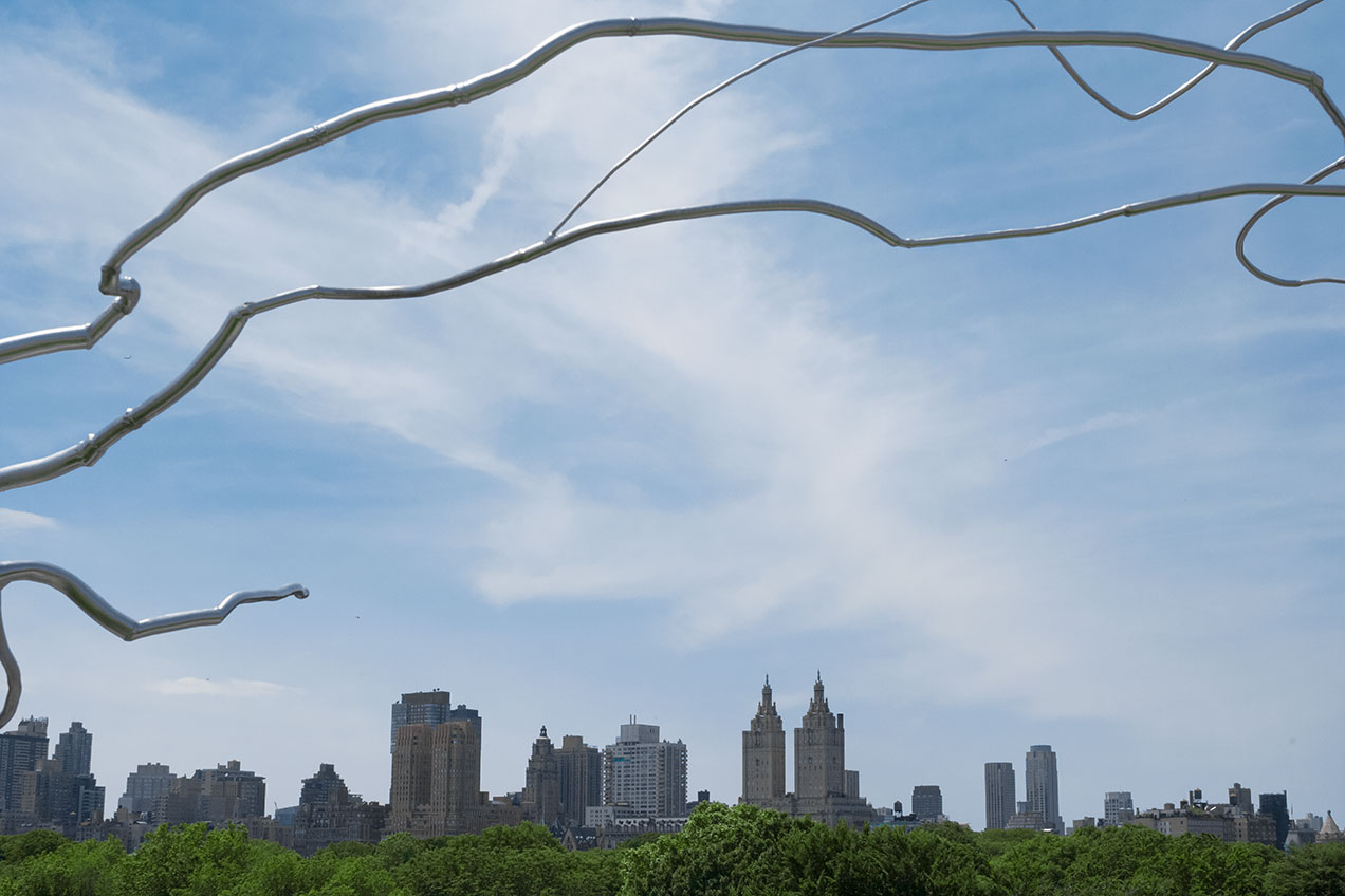 new york cityscape with roxy paine artwork over central park