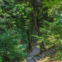 Kyoto Garden