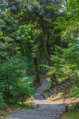 Kyoto Garden